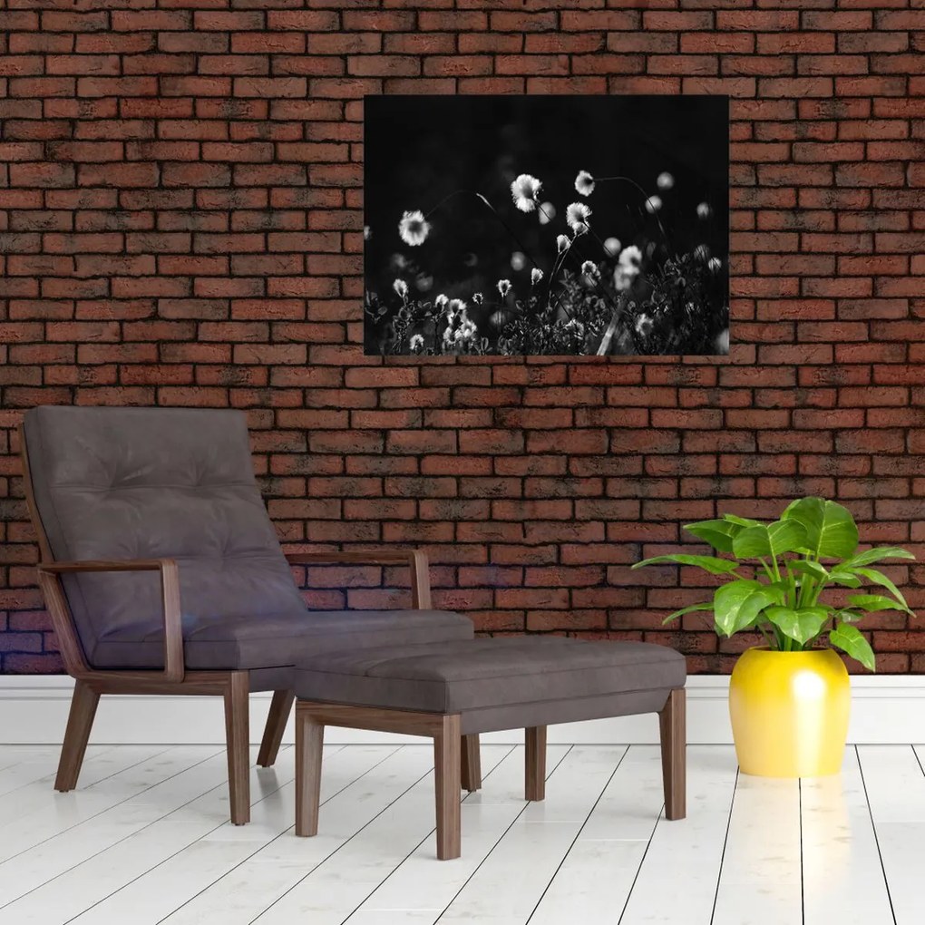 Obraz - Łąka z trawą bawełnianą N⁰1 (70x50 cm)