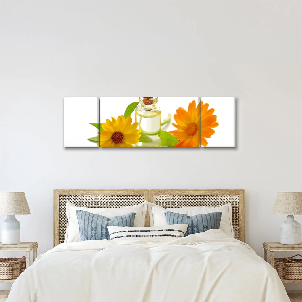 Obraz kwiatowego oleju (170x50 cm)