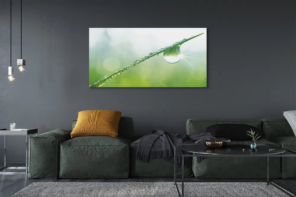 Obraz na płótnie Kropla Rosy na Trawie