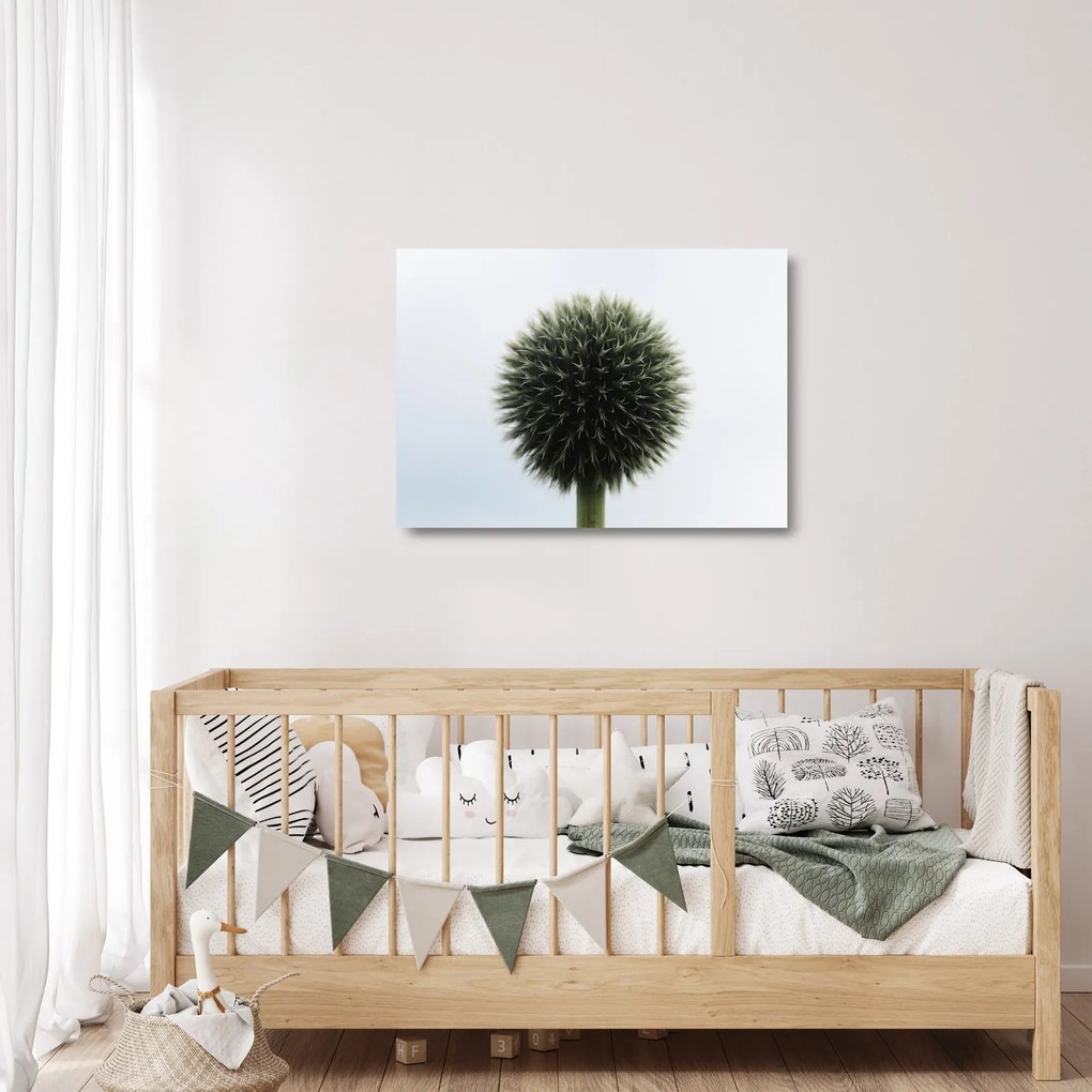 Obraz na szkle kuli kwiatowej (70x50 cm)