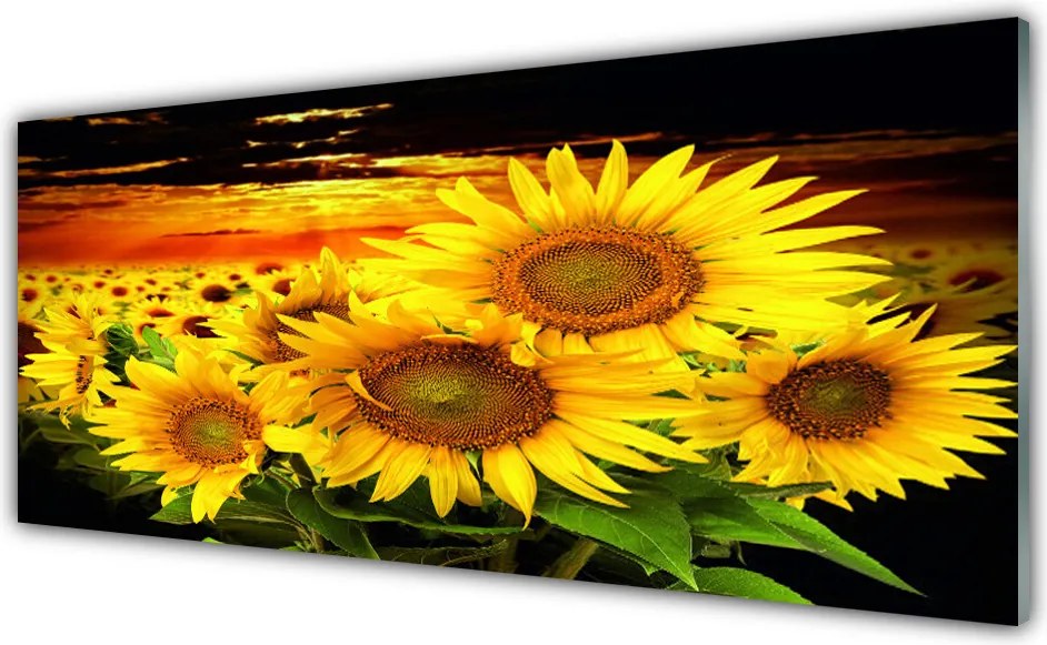 Szkło do Kuchni na Ścianę Radosny Słonecznik w Pełni