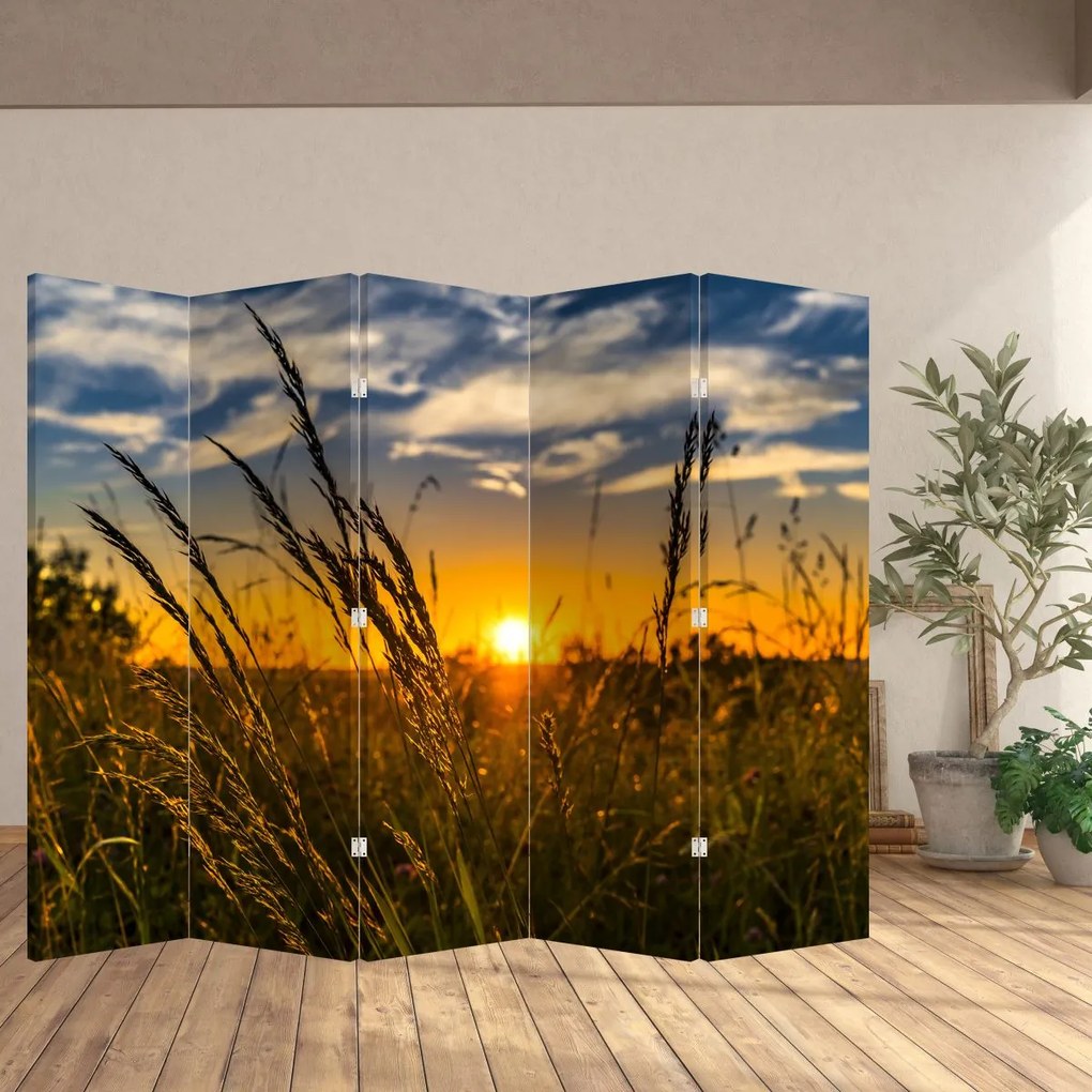 Parawan - Pole o zachodzie Słońca (210x170 cm)