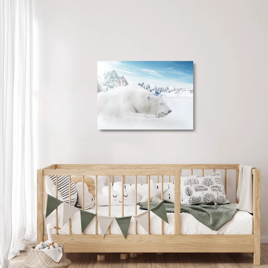 Obraz na szkle - Niedźwiedź polarny (70x50 cm)