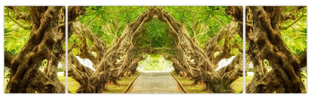 Obraz - Żywy tunel plumerii (170x50 cm)
