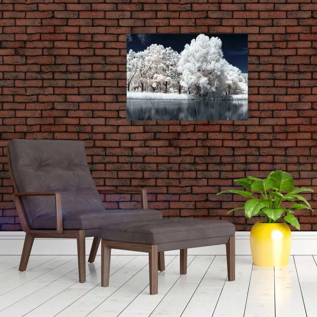 Obraz - Śnieżnobiałe drzewa (70x50 cm)