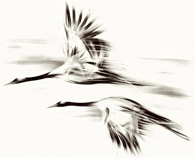 Obraz na płótnie Żurawie 2, Seria Shanghai