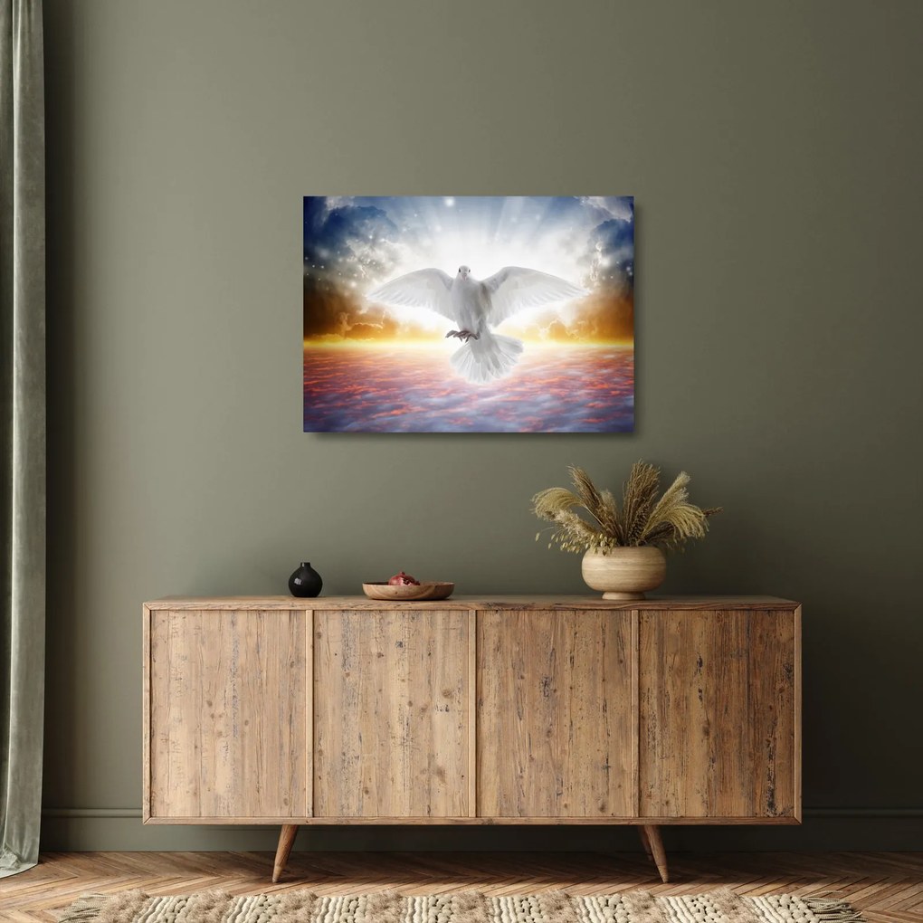 Obraz na szkle gołębicy (70x50 cm)