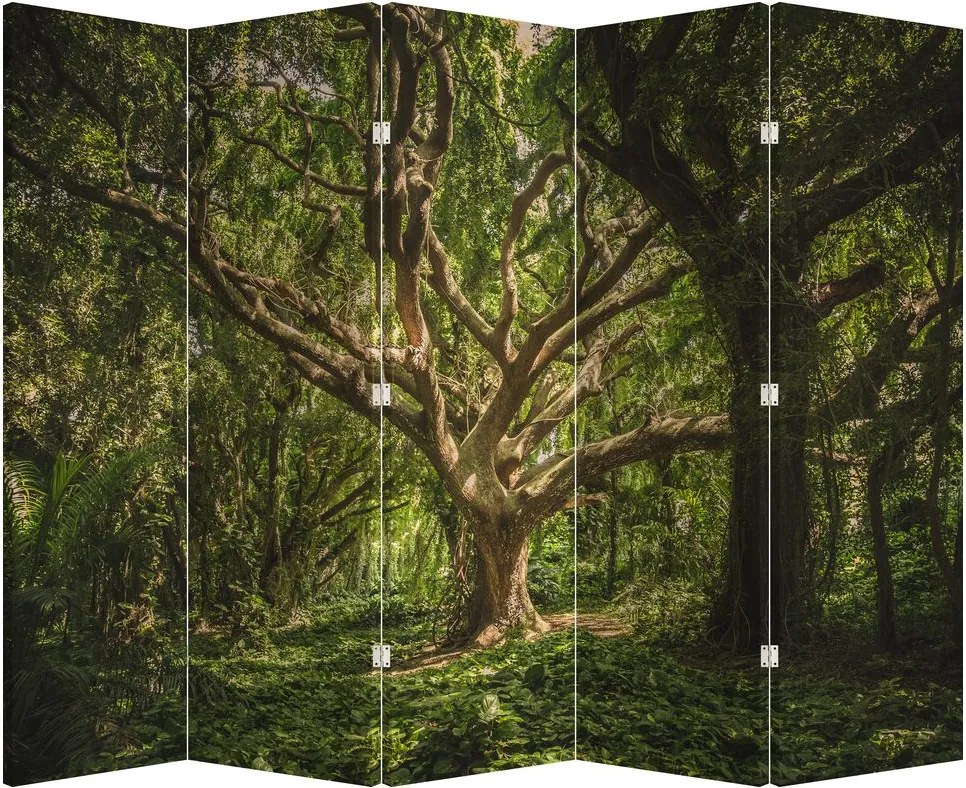 Parawan - Drzewo (210x170 cm)