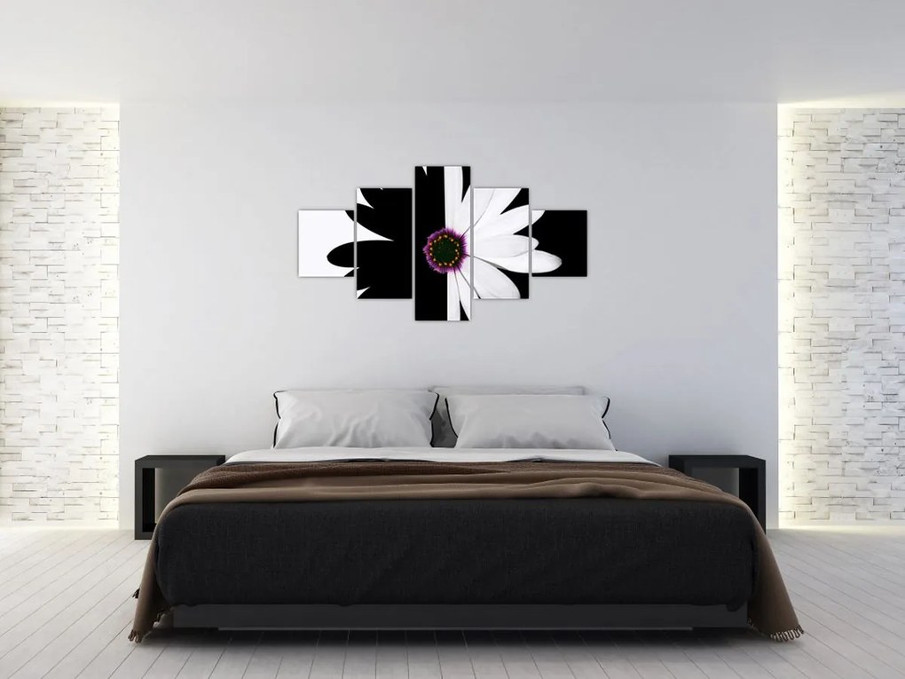 Obraz czarno - białego kwiatu (125x70 cm)