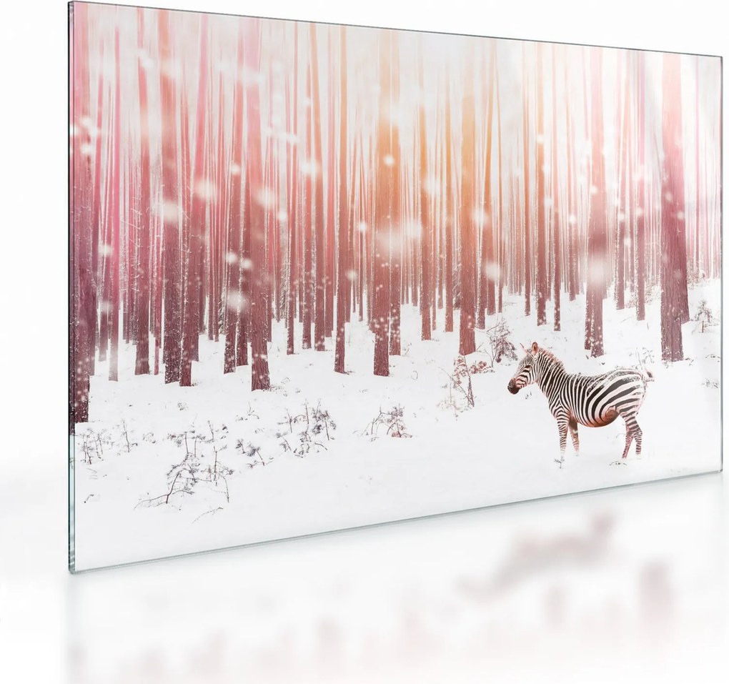 Obraz na szkle - Zebra w śnieżnym lesie (70x50 cm)