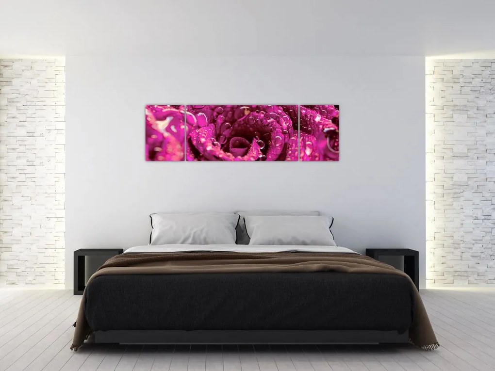 Obraz różowego kwiatu róży (170x50 cm)