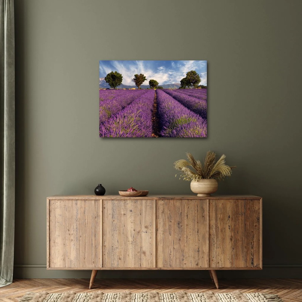 Obraz - Pole lawendy i góry (70x50 cm)