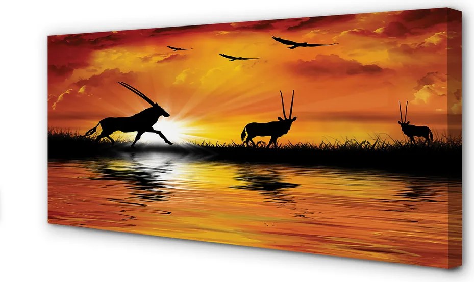 Zdjęcie na płótnie Ptaki nad Jeziorem o Zachodzie