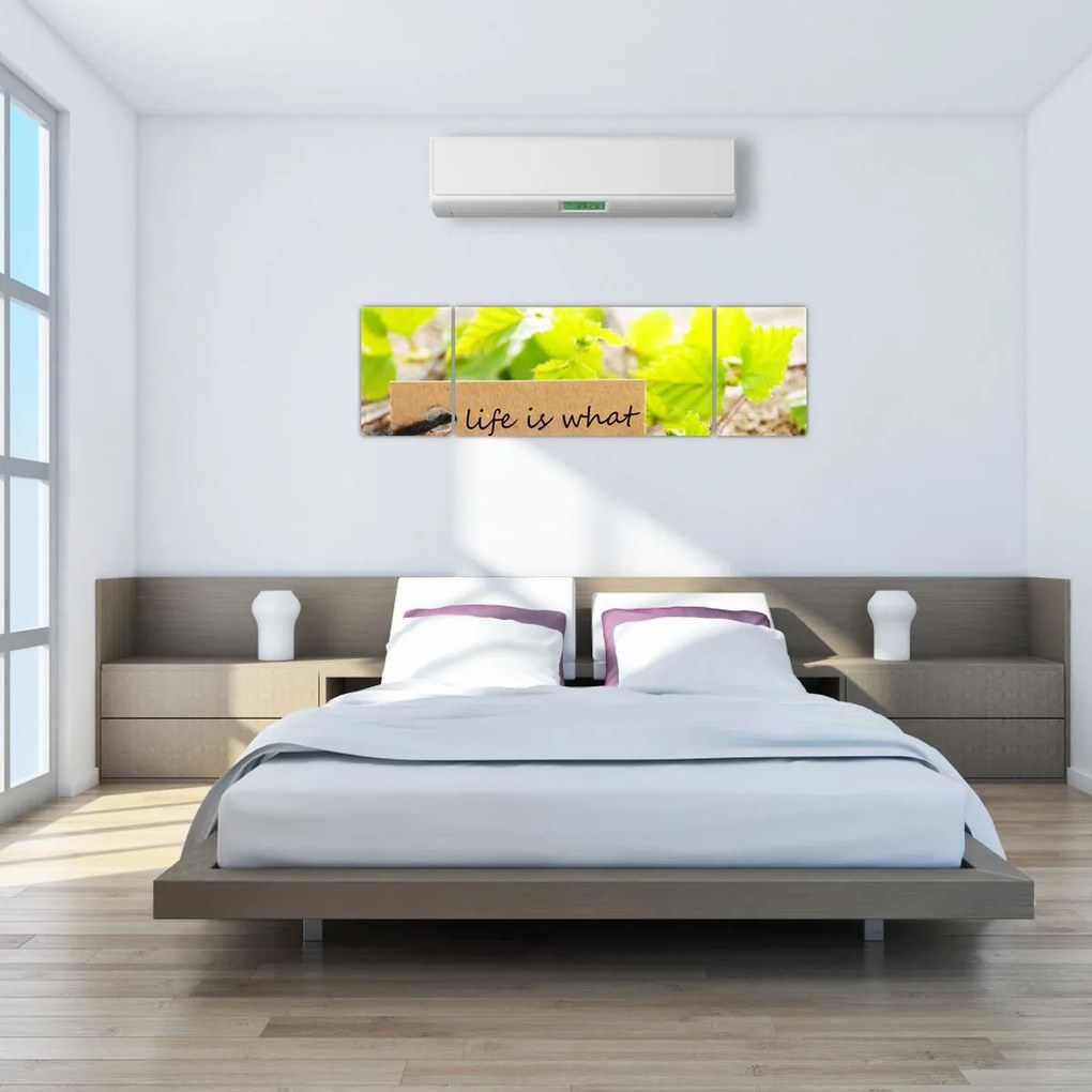 Obraz - Cytat (170x50 cm)