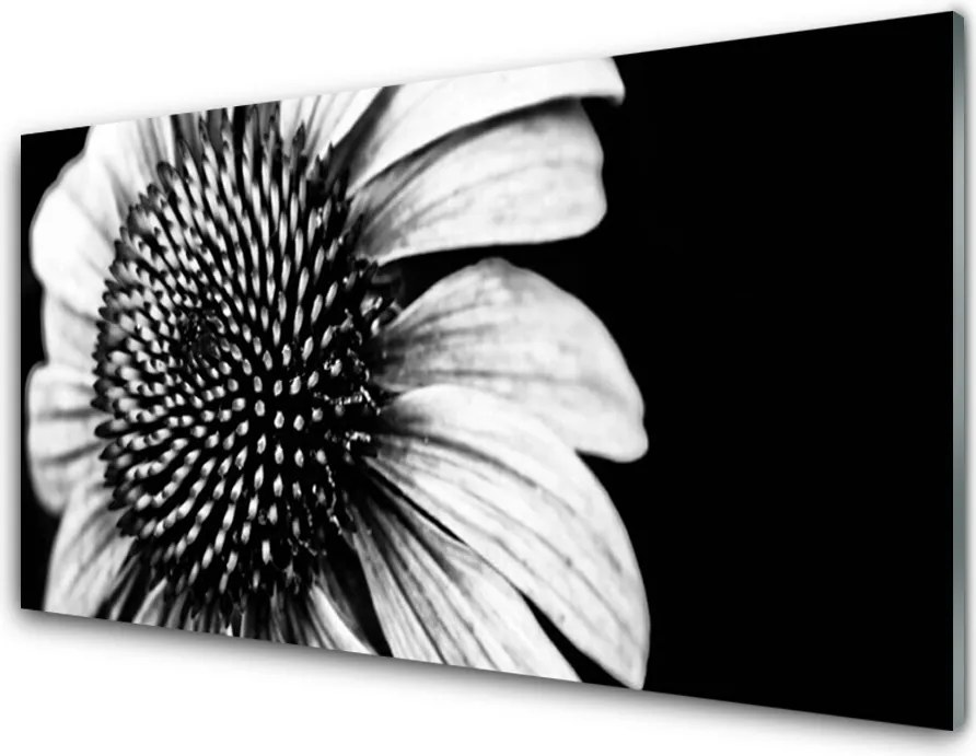 Szkło do Kuchni na Ścianę Rozkwitająca Natura