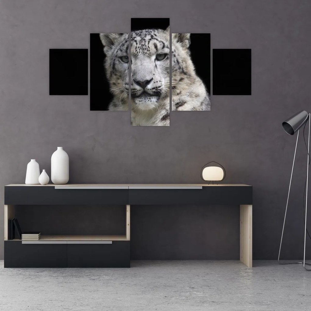 Obraz - Snow Leopard (125x70 cm)