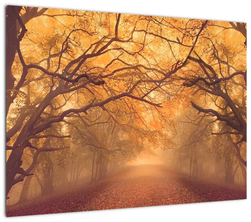 Obraz na szkle drogi w jesiennym krajobrazie (70x50 cm)