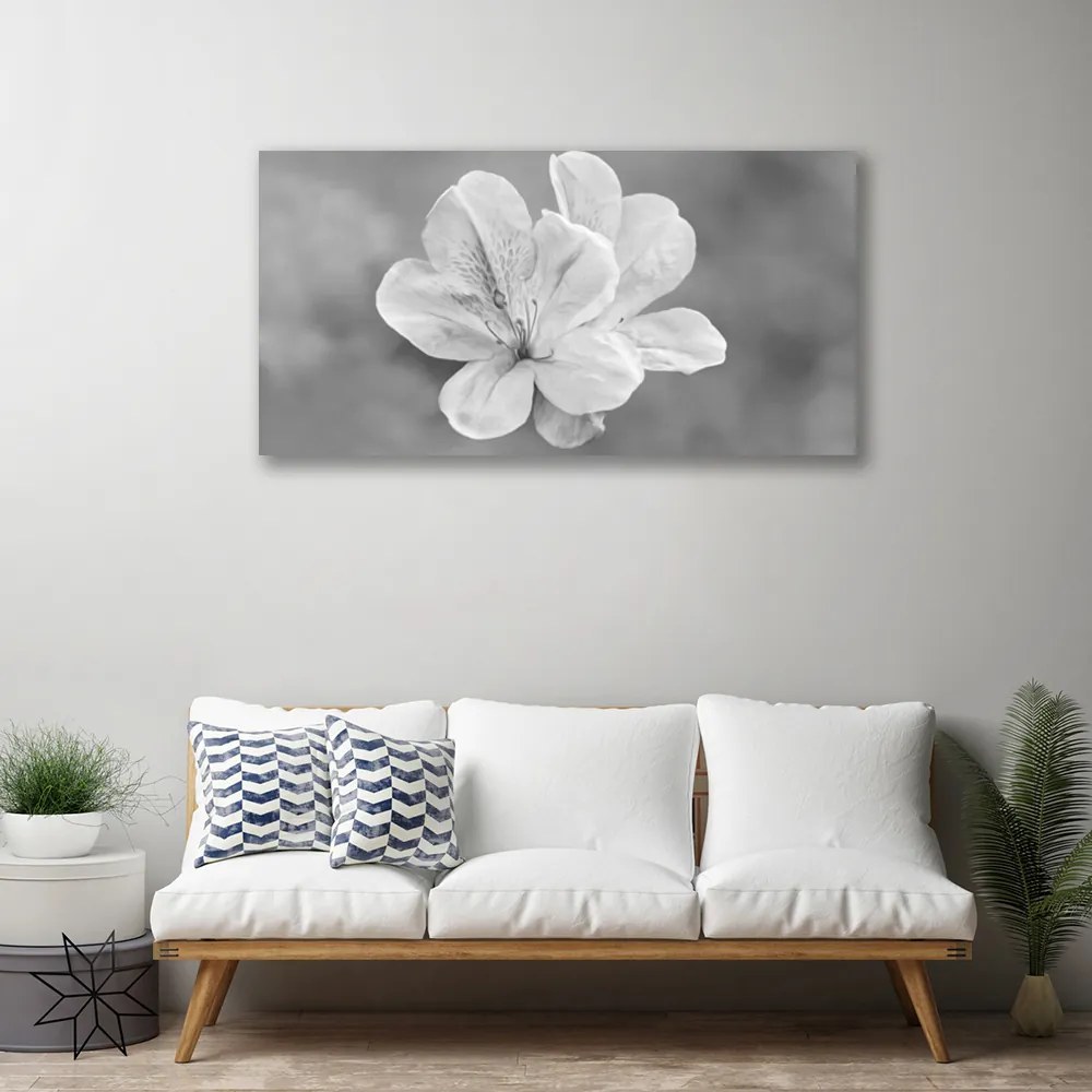 Obraz canvas na ścianę Kolorowy Ogród na Płótnie