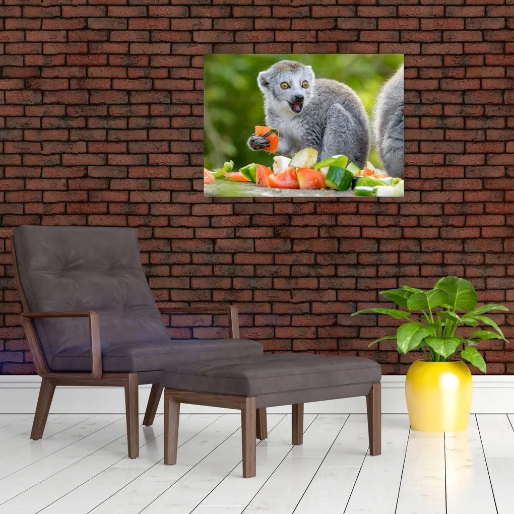 Obraz na szkle lemura (70x50 cm)