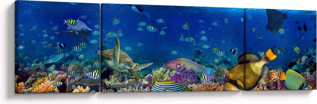 Obraz - Ocean (170x50 cm)