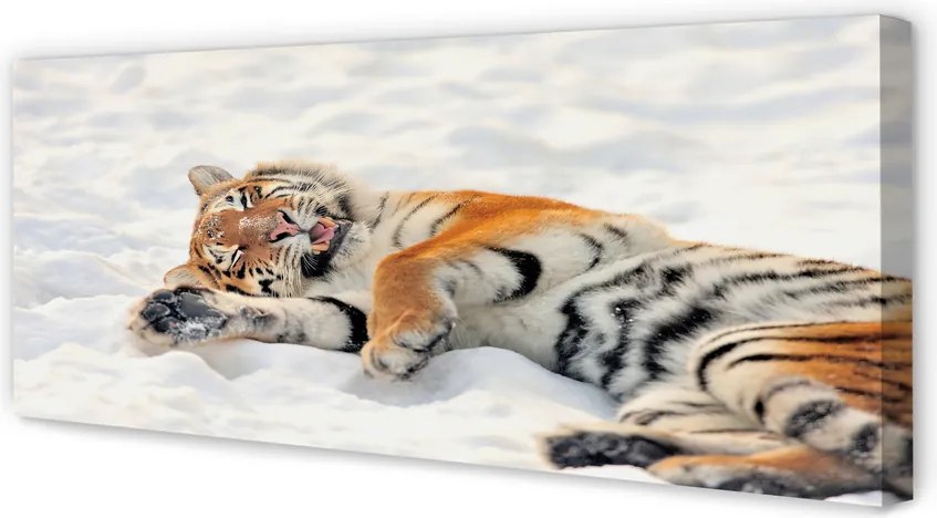 Fotoobraz na płótnie Zimowy Tygrys na Śniegu