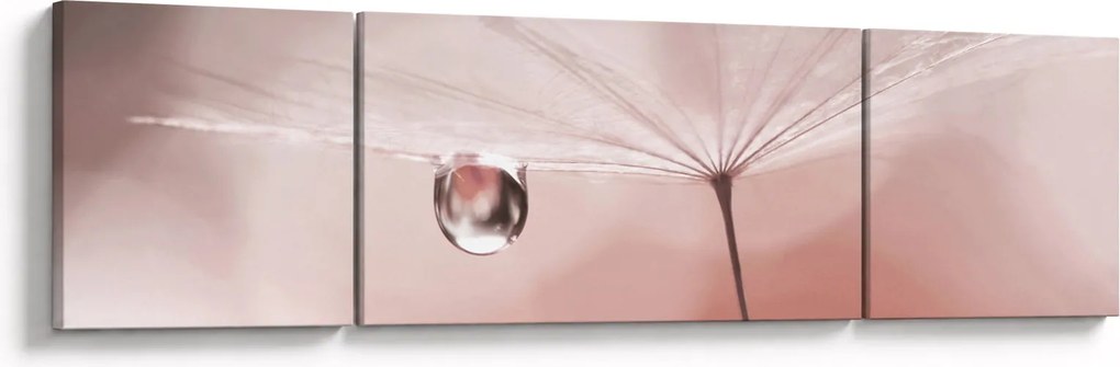 Obraz - Kropla rosy (170x50 cm)