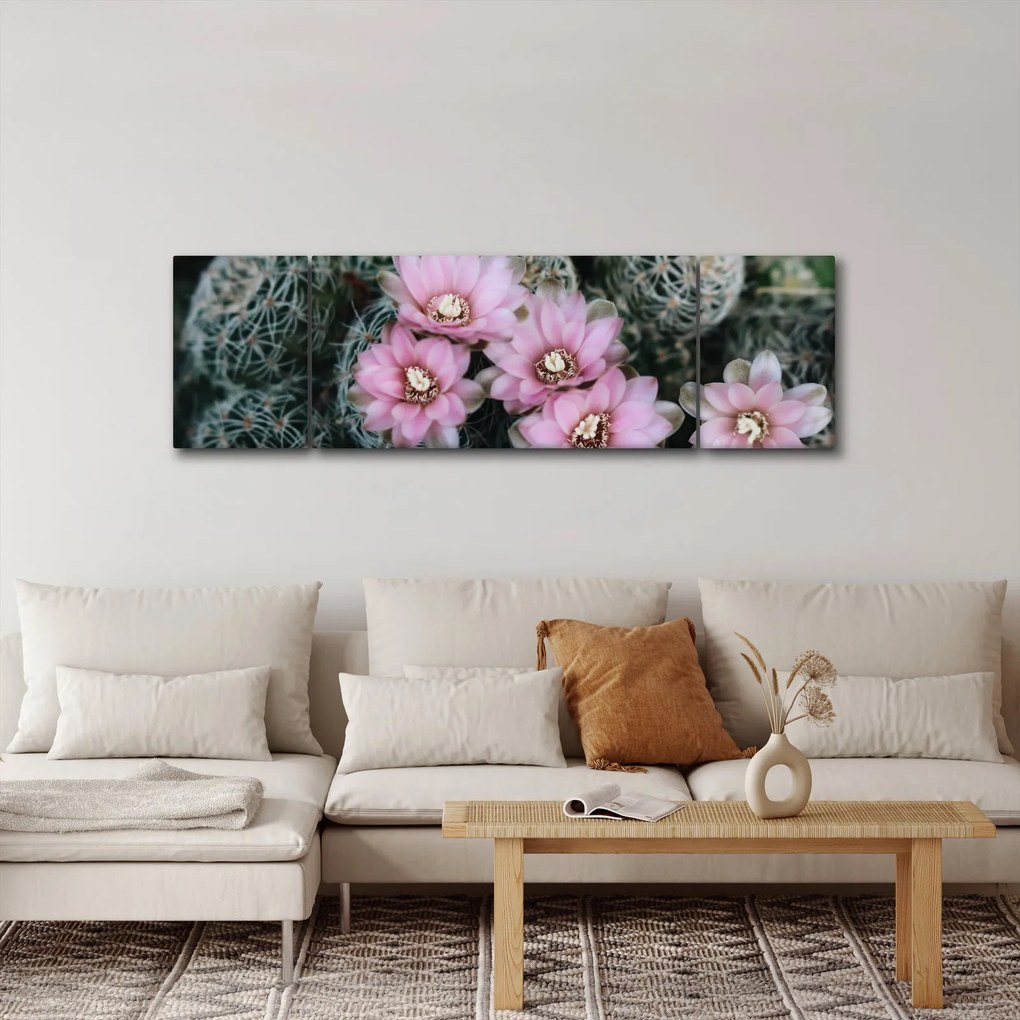 Obraz kwiatu kaktusa (170x50 cm)