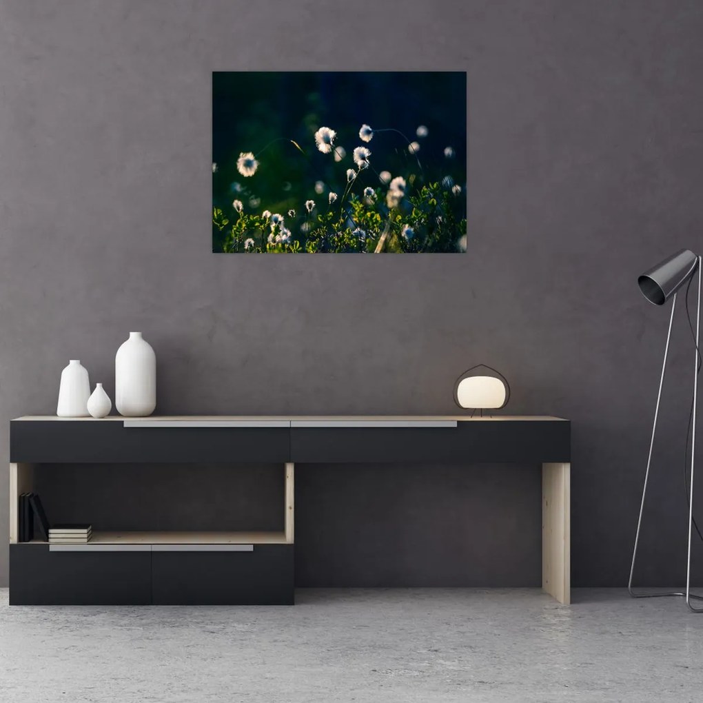 Obraz - Trawa (70x50 cm)