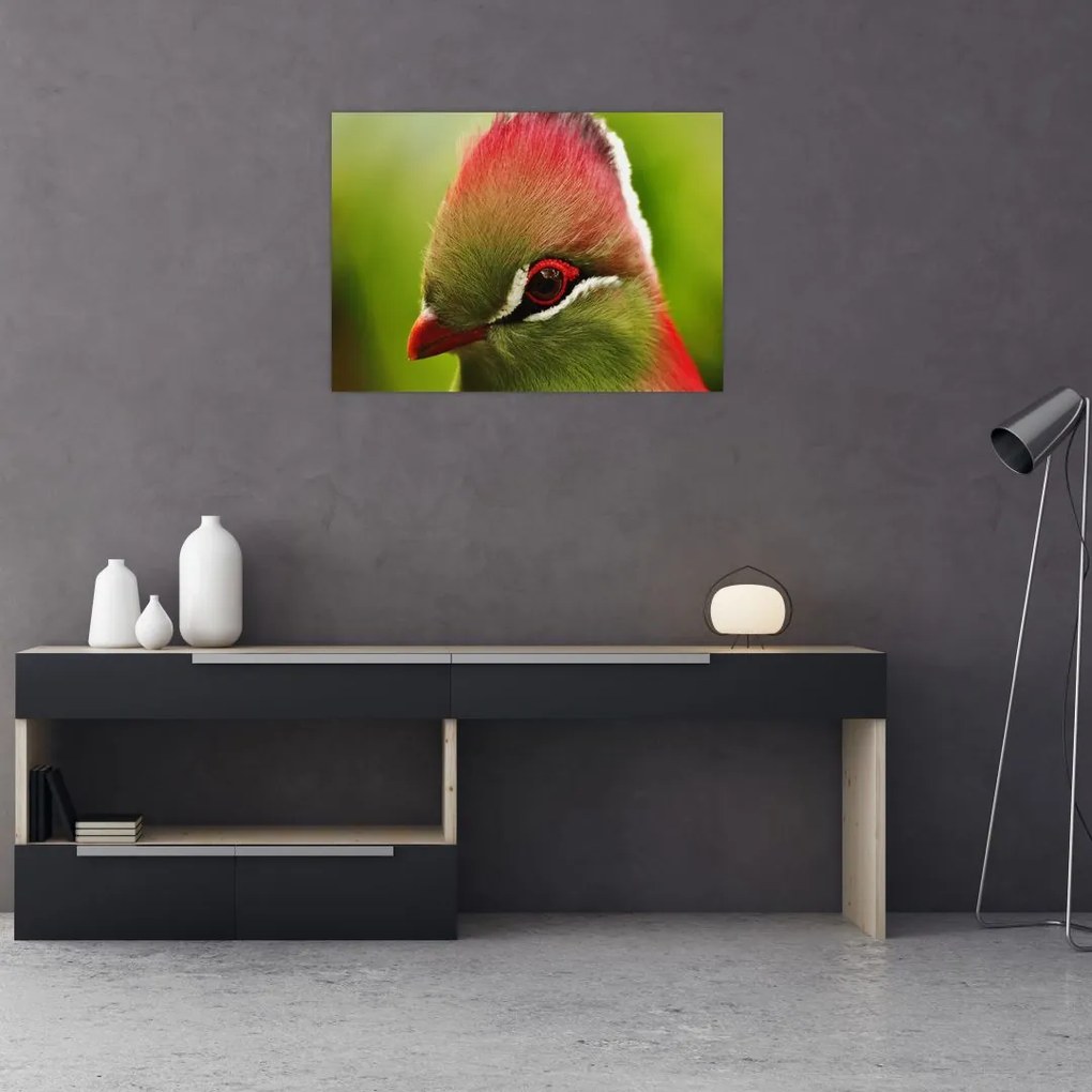 Obraz kolorowego ptaka (70x50 cm)