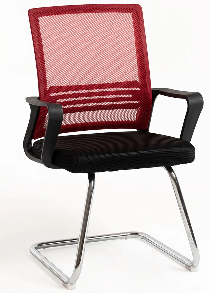 Pewny siebie Krzeso Kole