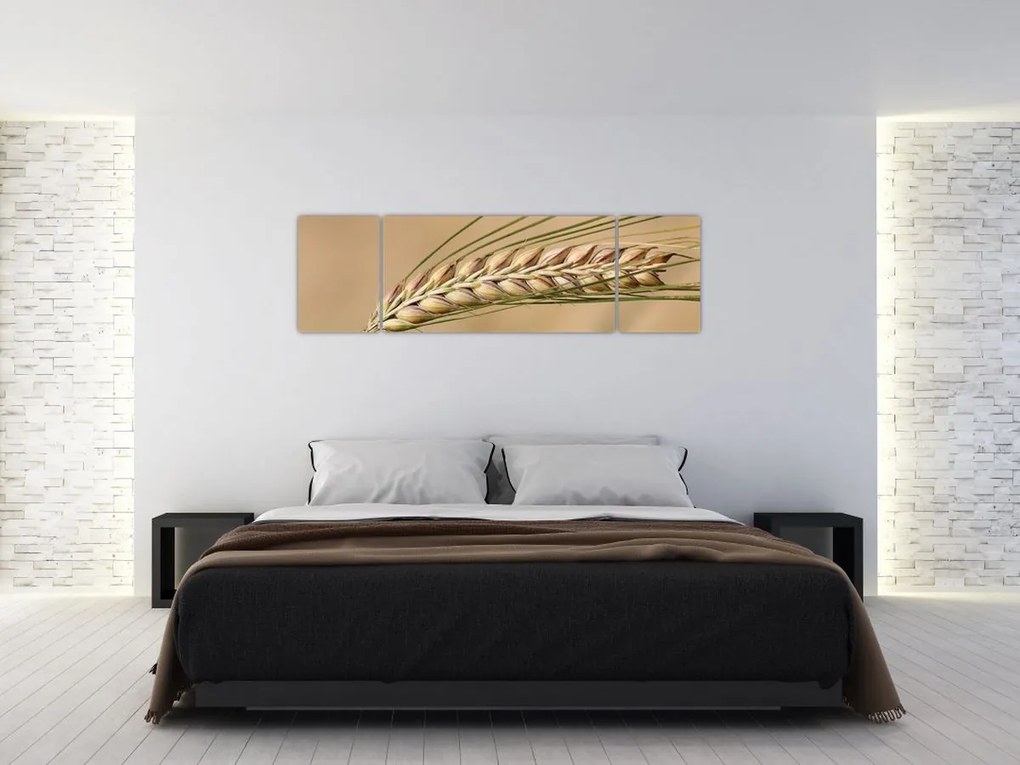 Obraz - Pszenica (170x50 cm)