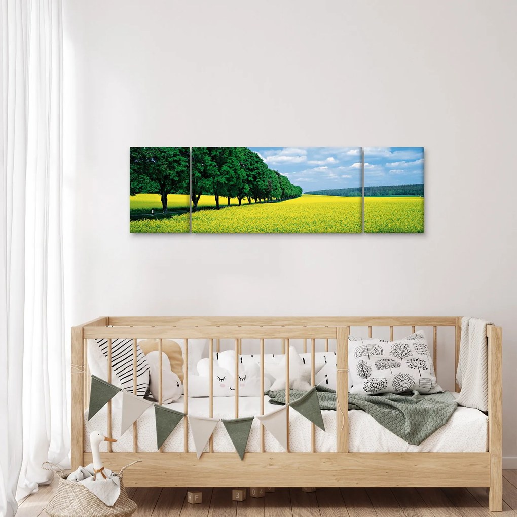 Obraz pola z aleją (170x50 cm)