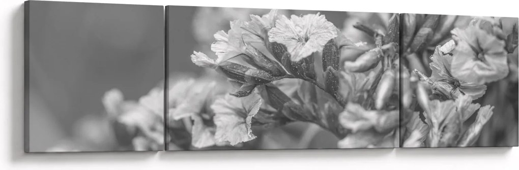 Obraz - Suszone kwiaty (170x50 cm)