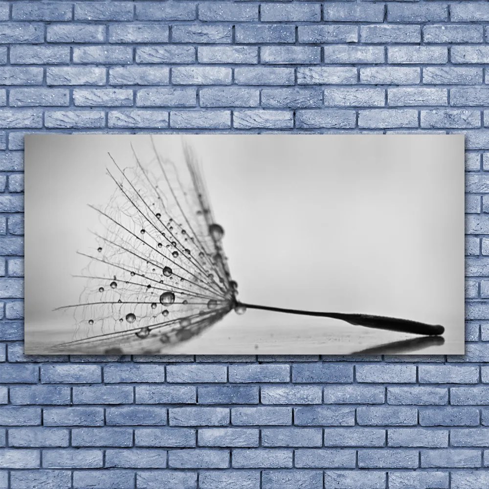 Duży obraz na płótnie Dywan Czerwonych Maków na Łące