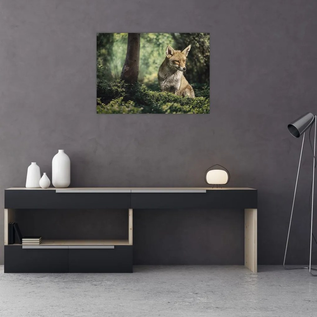 Obraz na szkle - lis (70x50 cm)