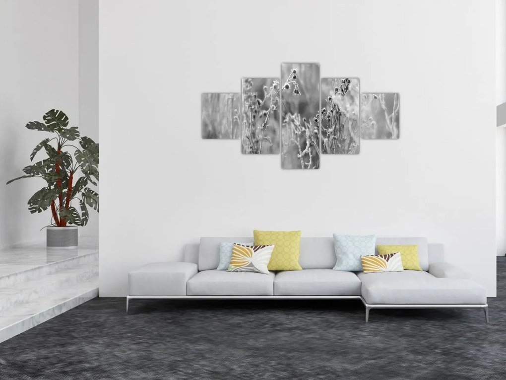 Obraz - Dzika łąka (125x70 cm)
