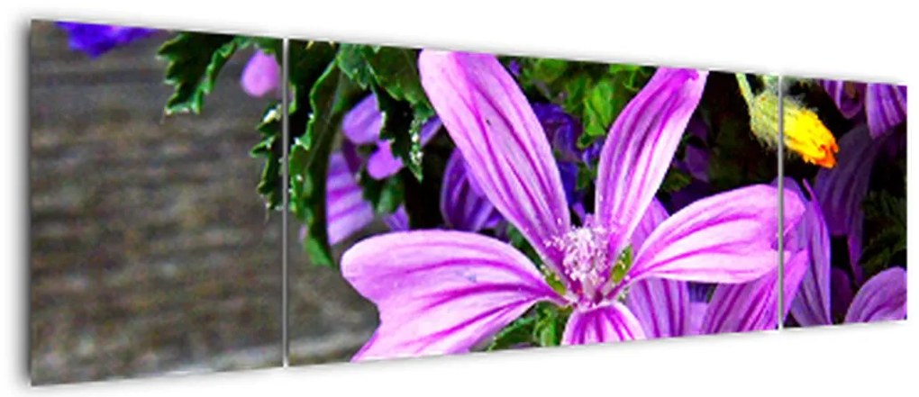 Obraz - kwiaty polne (170x50 cm)