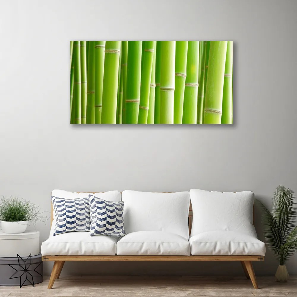 Obraz na płótnie Egzotyczny Kwiat i Bambus