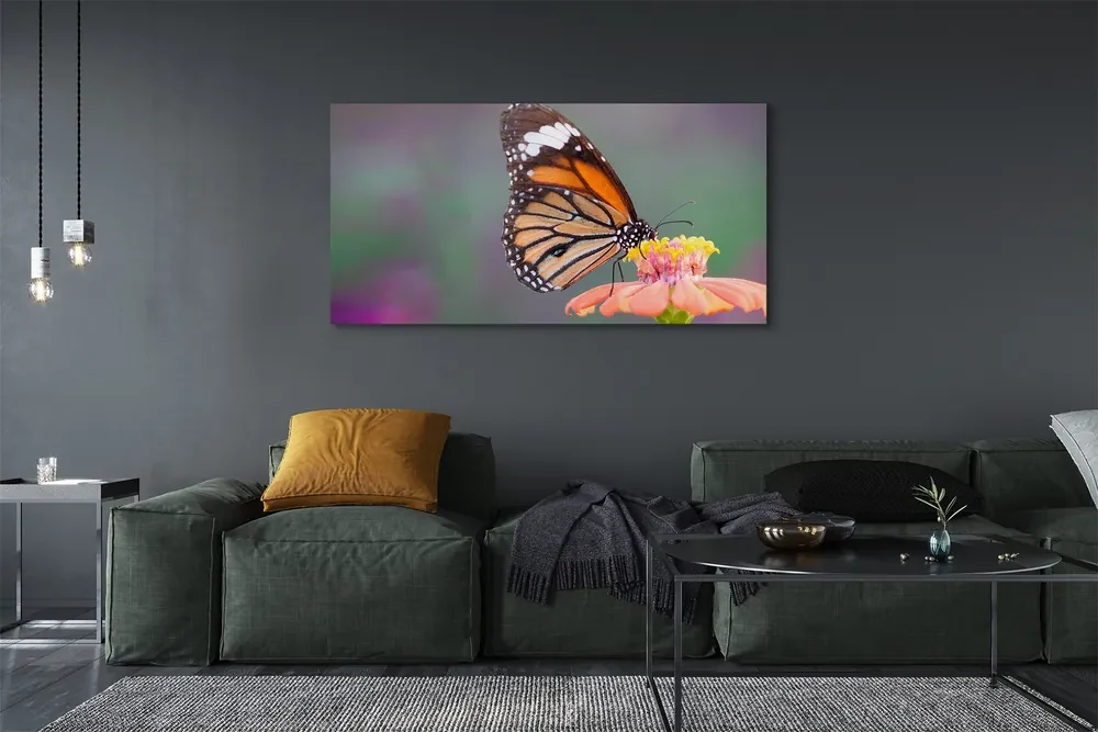 Obraz na płótnie Kolorowy motyl kwiat