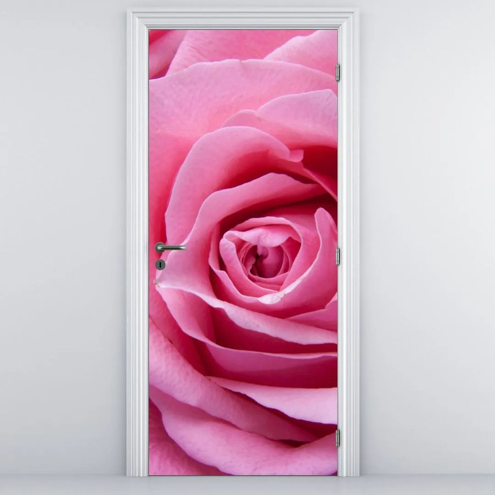 Fototapeta na drzwi - Róża (95x205cm)