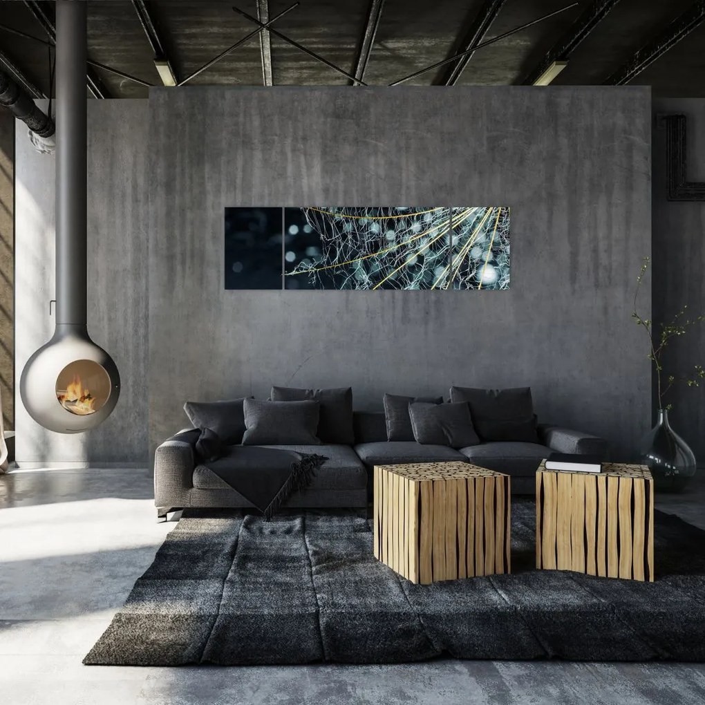 Obraz - Kwiat z pajęczyną (170x50 cm)