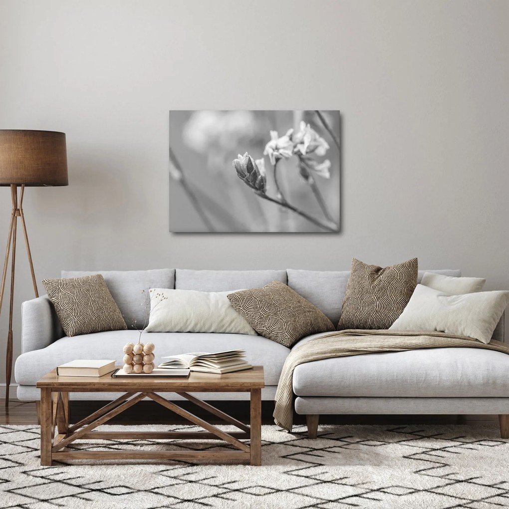 Obraz - Kwitnący kwiat (70x50 cm)