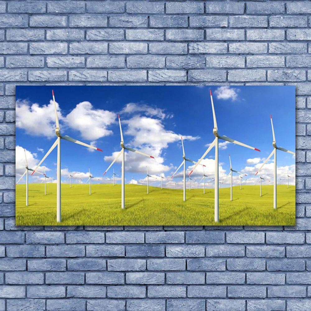 Obraz drukowany na płótnie Wiejska Chata w Polu