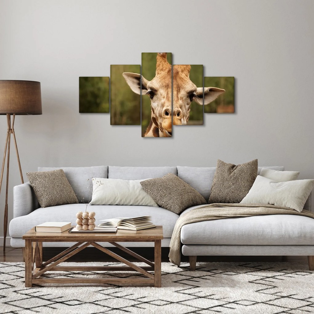 Obraz żyrafy (125x70 cm)