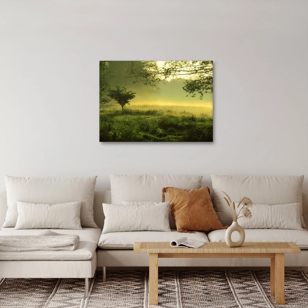 Obraz - Budzący się las (70x50 cm)