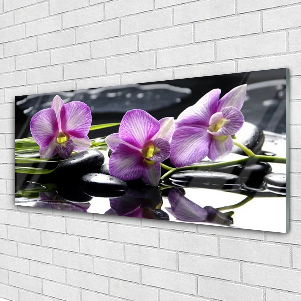 Obraz na Szkle Kwiat Orchidea Roślina