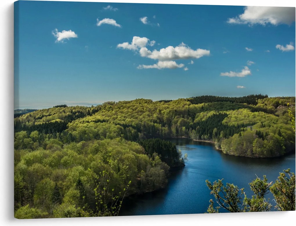 Obraz - Jezioro w lesie (70x50 cm)