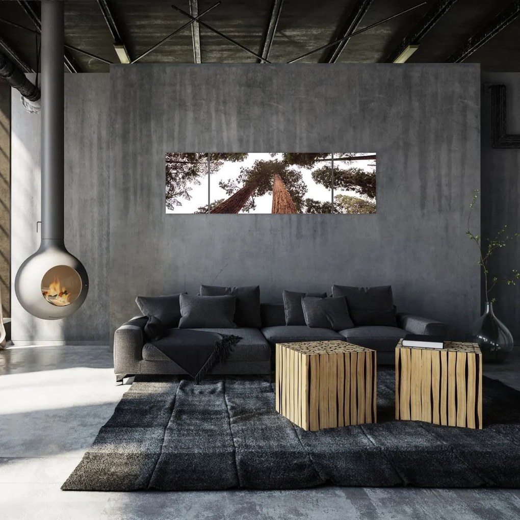 Obraz - Widok przez korony drzew (170x50 cm)