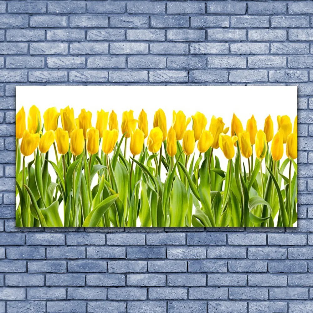 Obraz Canvas Tulipany Kwiaty Natura