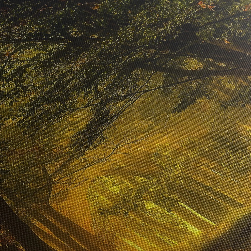 Obraz lasu (z zegarem) (90x30 cm)